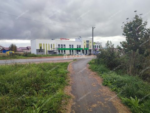 selo-kamenki-bogorodskiy-municipalnyy-okrug фото