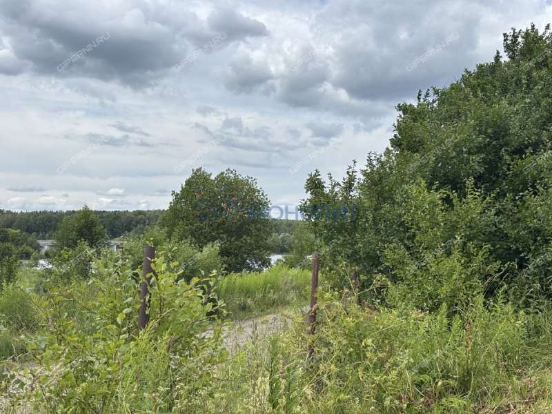 земельный участок 8 соток Рябинино сад