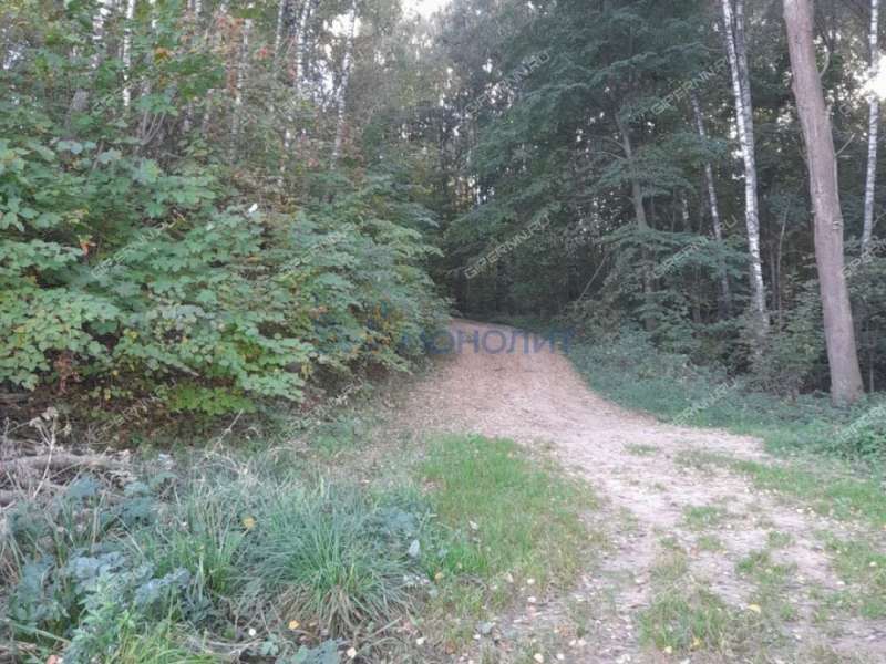 дом на - деревня Колганово