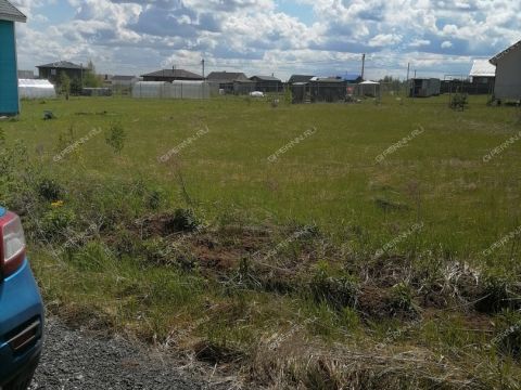selo-efimevo-bogorodskiy-municipalnyy-okrug фото