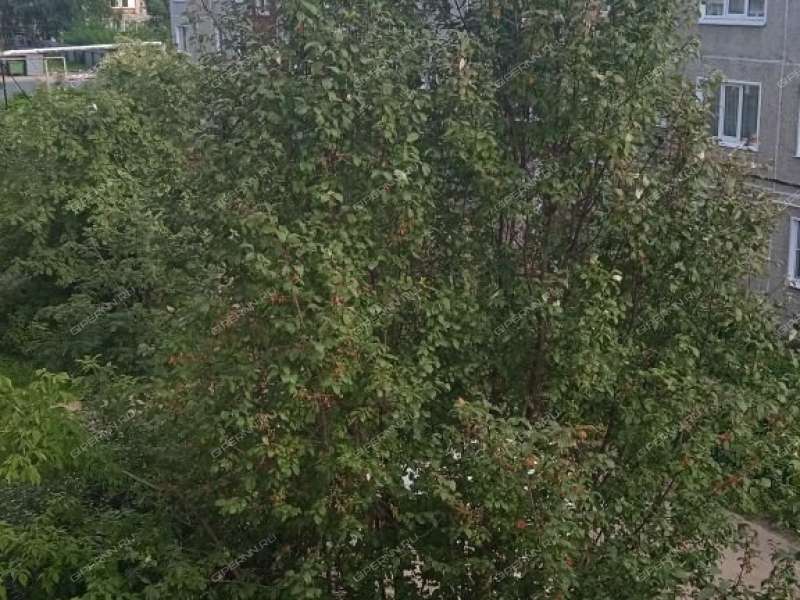 двухкомнатная квартира на Советском проспекте дом 34 город Перевоз