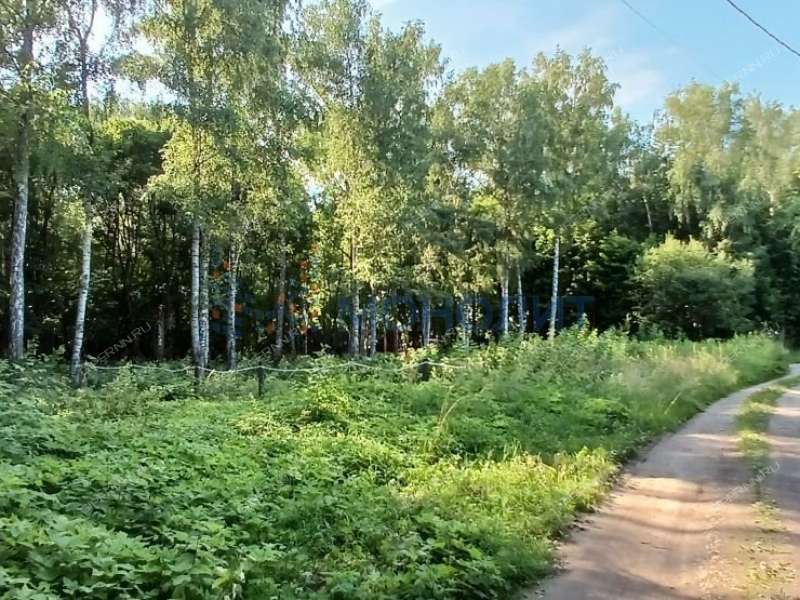 земельный участок 20 соток - деревня Зименки