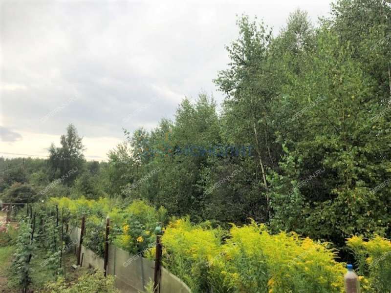 земельный участок под сельхоз назначение в Богородском районе Нижегородской области