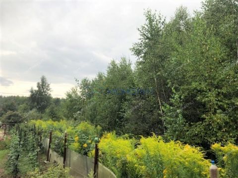 derevnya-zimenki-bogorodskiy-municipalnyy-okrug фото