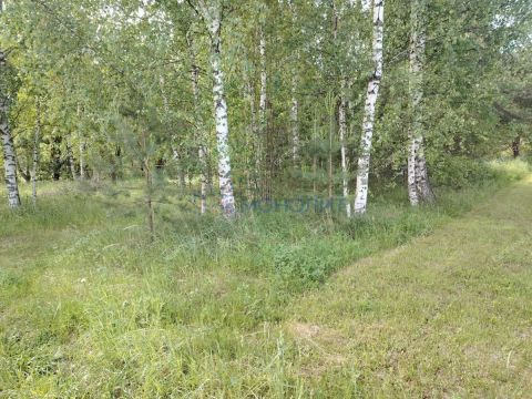 derevnya-chapurda-bogorodskiy-municipalnyy-okrug фото