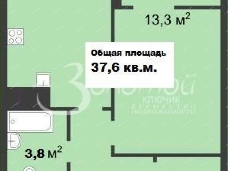 однокомнатная квартира на Черкесской улице дом 19 деревня Анкудиновка