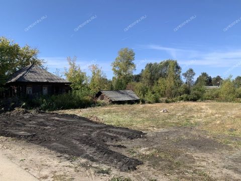 gorod-semenov-semenovskiy-gorodskoy-okrug фото