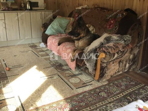 dom-sadovodcheskoe-nekommercheskoe-tovarishhestvo-yasnaya-polyana-bogorodskiy-municipalnyy-okrug фото