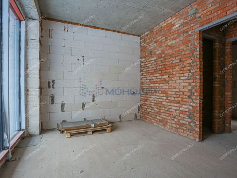 kottedzh-derevnya-shumilovo-bogorodskiy-municipalnyy-okrug фото