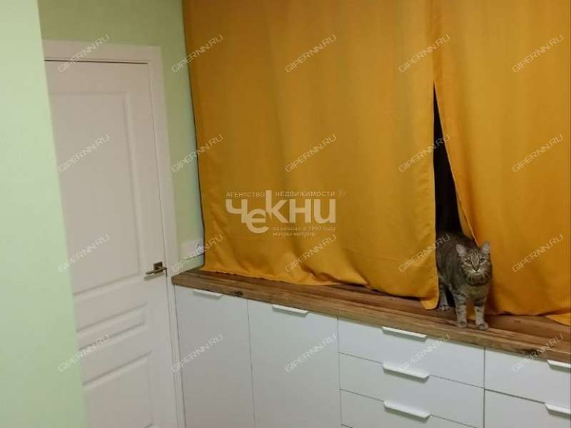 однокомнатная квартира на улице Козицкого дом 5  к2