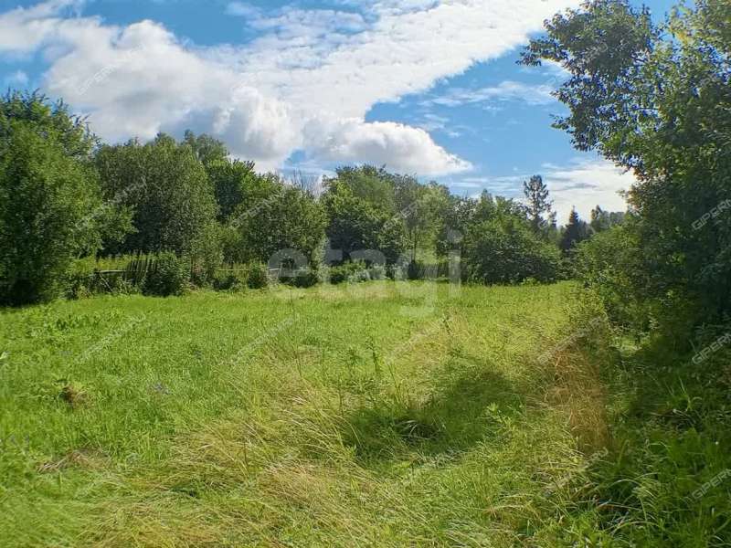 земельный участок 20,4 сотки улица Черкасский Порядок село Афанасьево