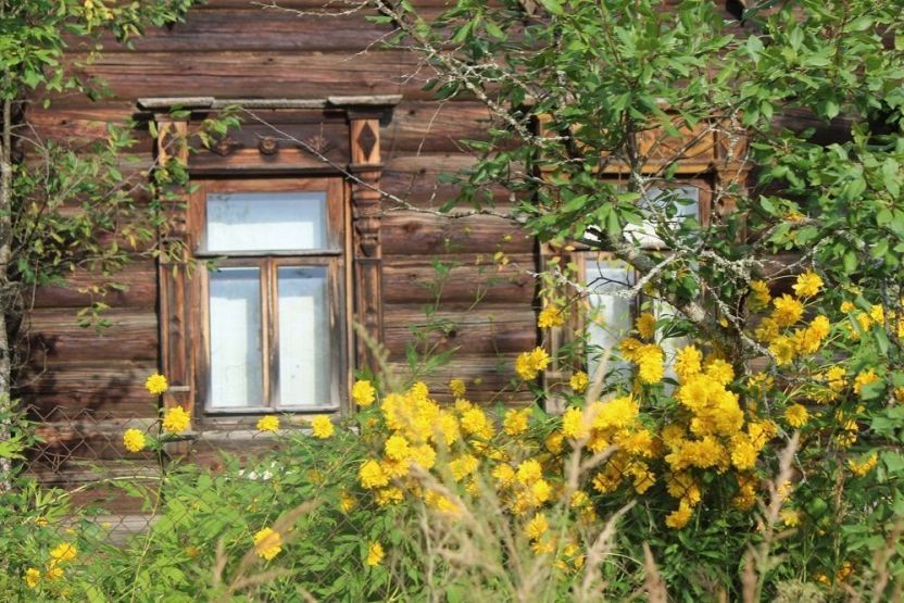 Фото: Ксения Ражева / gipernn.ru