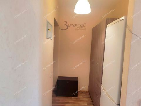 kvartira-studiya-derevnya-kusakovka-ul-vasilkovaya-d-161a фото