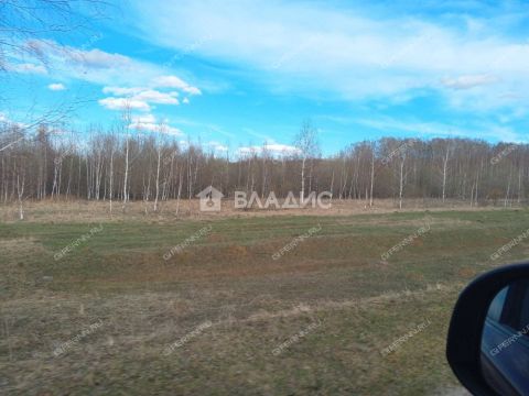 derevnya-inyutino-bogorodskiy-municipalnyy-okrug фото