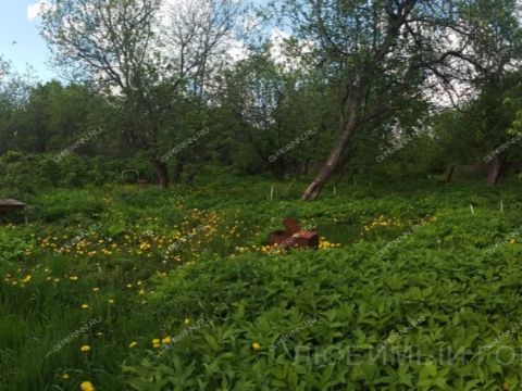 dom-derevnya-kopnino-bogorodskiy-municipalnyy-okrug фото