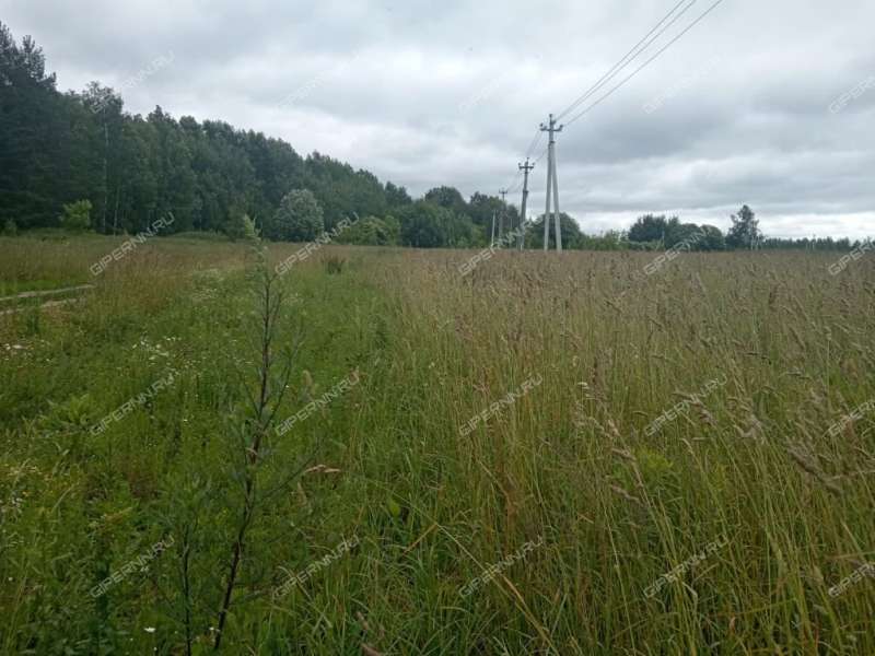 земельный участок 844 сотки КП Бугров парк