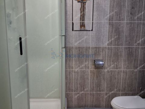 1-komnatnaya-derevnya-afonino-kstovskiy-rayon фото