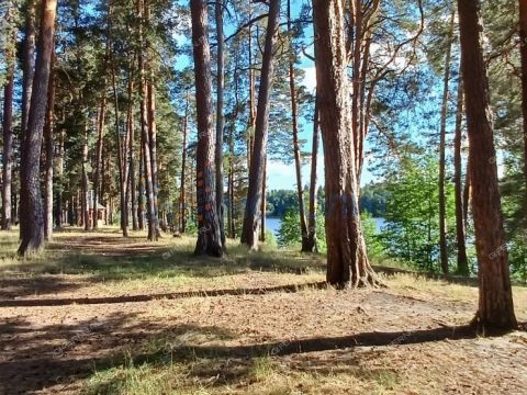 dom-selo-pustyn-gorodskoy-okrug-arzamas фото