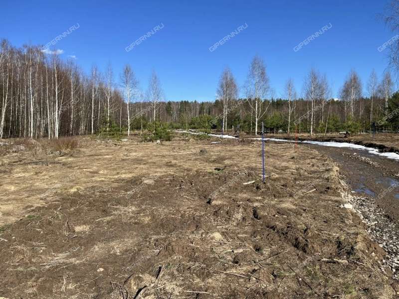 земельный участок под сельхоз назначение в Городецком районе Нижегородской области