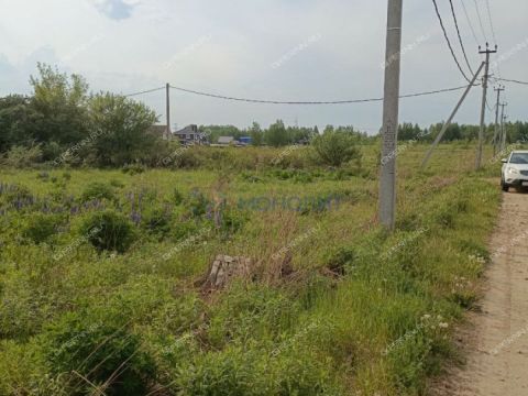 derevnya-shumilovo-bogorodskiy-municipalnyy-okrug фото