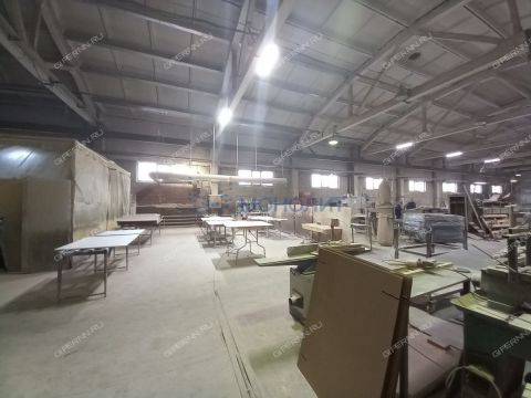 gorod-bor-gorodskoy-okrug-bor фото