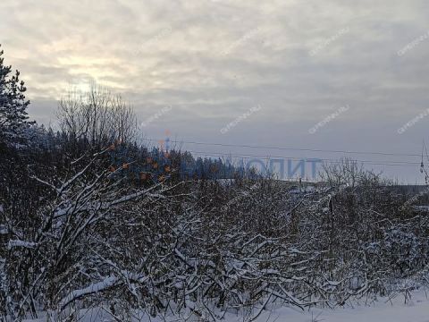 derevnya-berezovka-bogorodskiy-municipalnyy-okrug фото