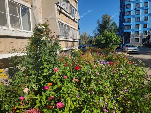 2-komnatnaya-ul-profinterna-d-15 фото