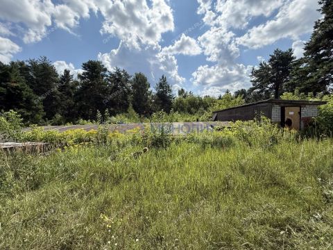 gorod-balahna-balahninskiy-municipalnyy-okrug фото