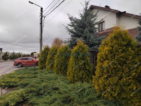 taunhaus-sl-verhnepecherskaya-d-118-1 фото