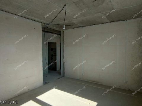 2-komnatnaya-ul-vladimira-luzyanina-d-1 фото