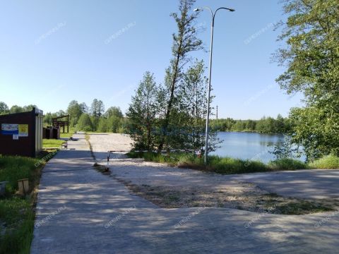 3-komnatnaya-gorod-semenov-semenovskiy-gorodskoy-okrug фото