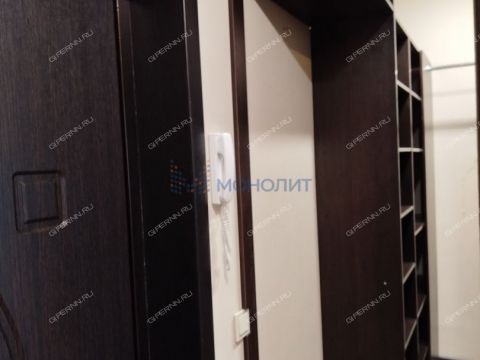 1-komnatnaya-derevnya-afonino-kstovskiy-rayon фото