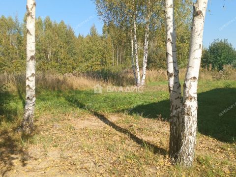 dom-bor-gorodskoy-okrug-bor фото