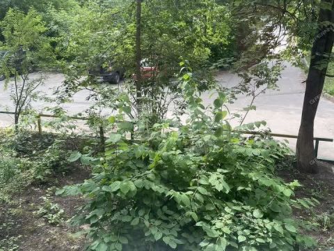 2-komnatnaya-ul-kozickogo-d-6 фото