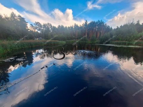 1-komnatnaya-gorod-dzerzhinsk-gorodskoy-okrug-dzerzhinsk фото