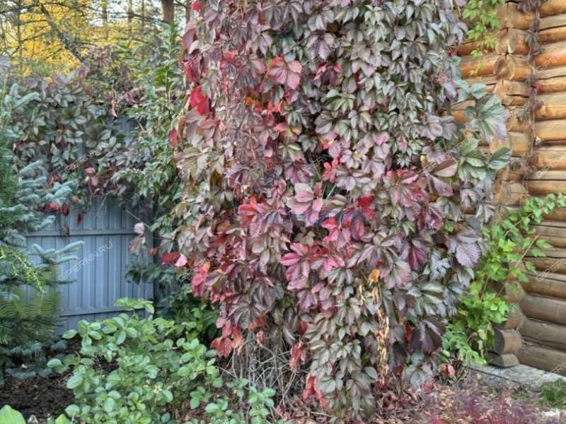 дом на Дорожная посёлок Городецкий