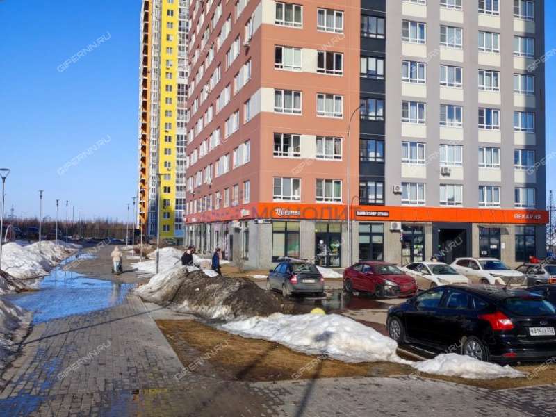 однокомнатная квартира на Черкесской улице дом 19 деревня Анкудиновка