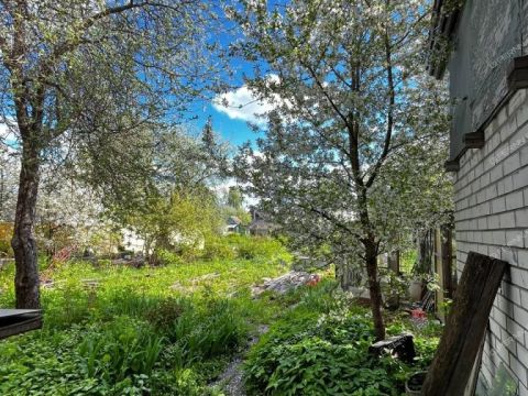 dacha-gorod-balahna-balahninskiy-municipalnyy-okrug фото