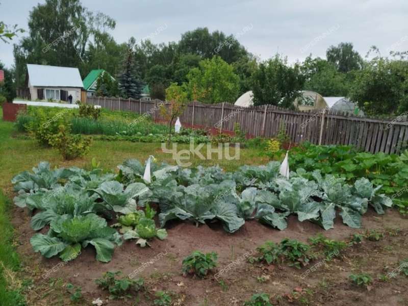 дача на Дорожной улице город Городец