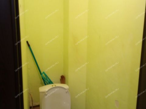 2-komnatnaya-prosp-busygina-d-16 фото