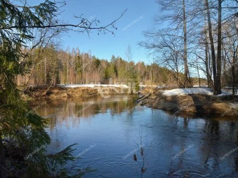 dom-derevnya-molchanovo-sokolskiy-gorodskoy-okrug фото
