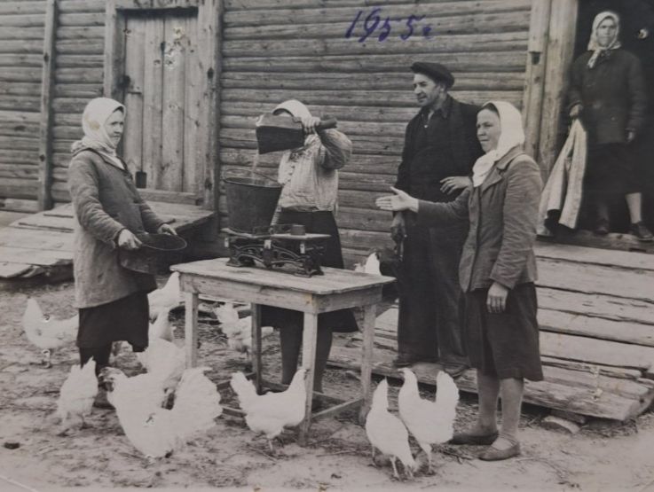 Источник: госкаталог.рф