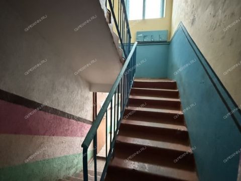 1-komnatnaya-derevnya-fedurino-gorodeckiy-rayon фото