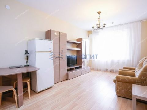 1-komnatnaya-derevnya-ankudinovka-kstovskiy-rayon фото