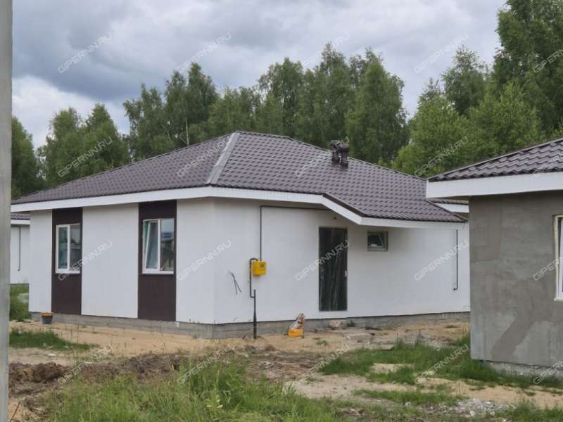 дом на Героя Демина ул. деревня Пруды