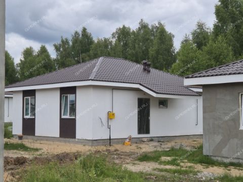 dom-derevnya-prudy-bogorodskiy-municipalnyy-okrug фото