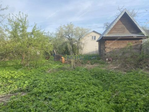 dacha-snt-druzhba-snt-druzhba фото