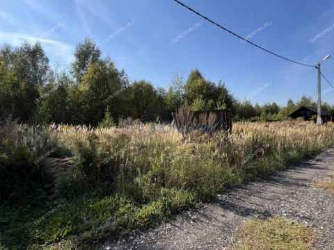 selo-arapovo-bogorodskiy-municipalnyy-okrug фото