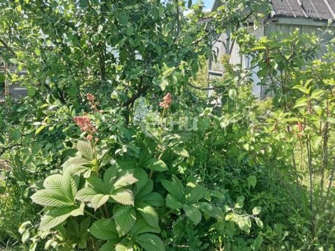 dacha-rabochiy-poselok-pervomayskiy-gorodeckiy-rayon фото
