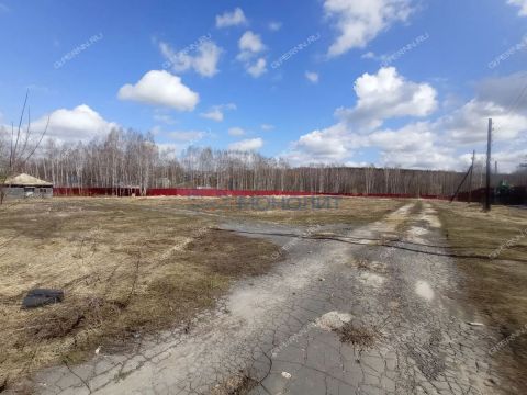 rabochiy-poselok-sosnovskoe-sosnovskiy-rayon фото